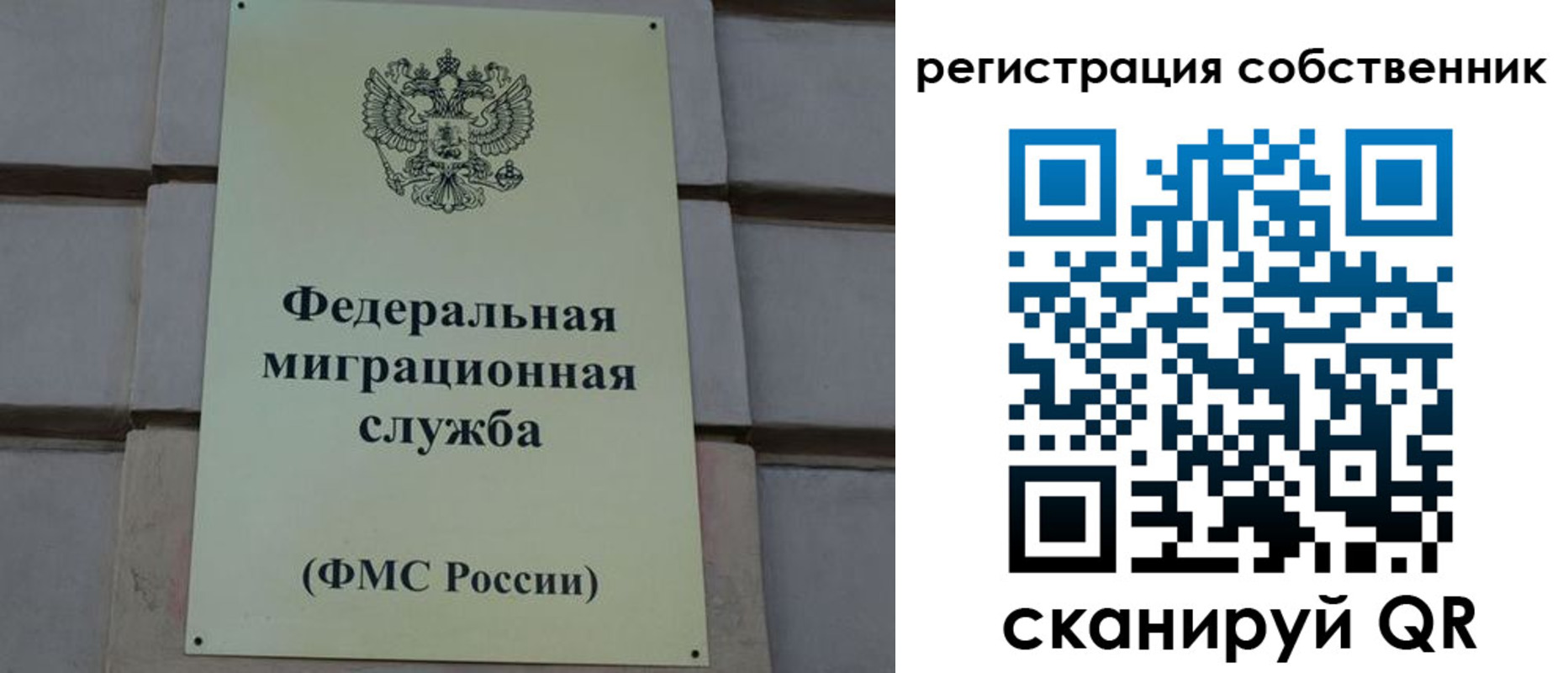 прописка гарантия в Камбарке
